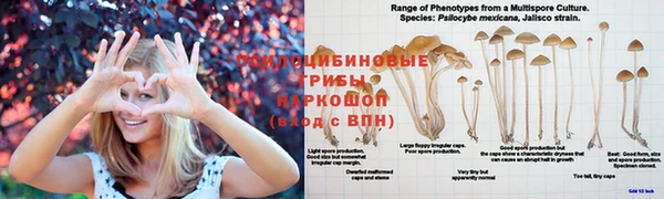 СК Алзамай