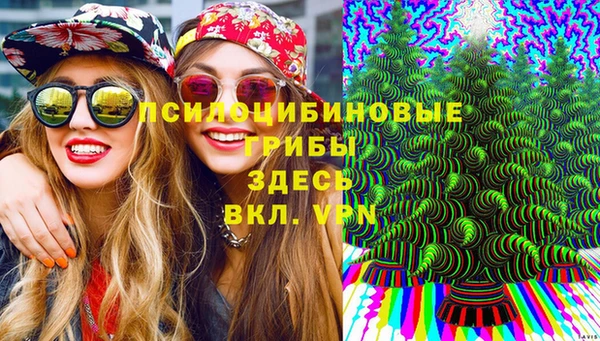 ALPHA PVP Дмитров