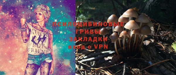 стафф Алексеевка