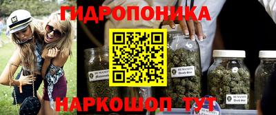 крисы Нарткала