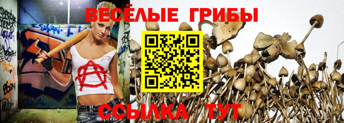 Галлюциногенные грибы MAGIC MUSHROOMS Ярцево